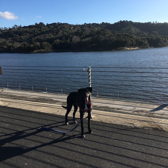 Meet your Posher, Brian - Picture 1 of 1